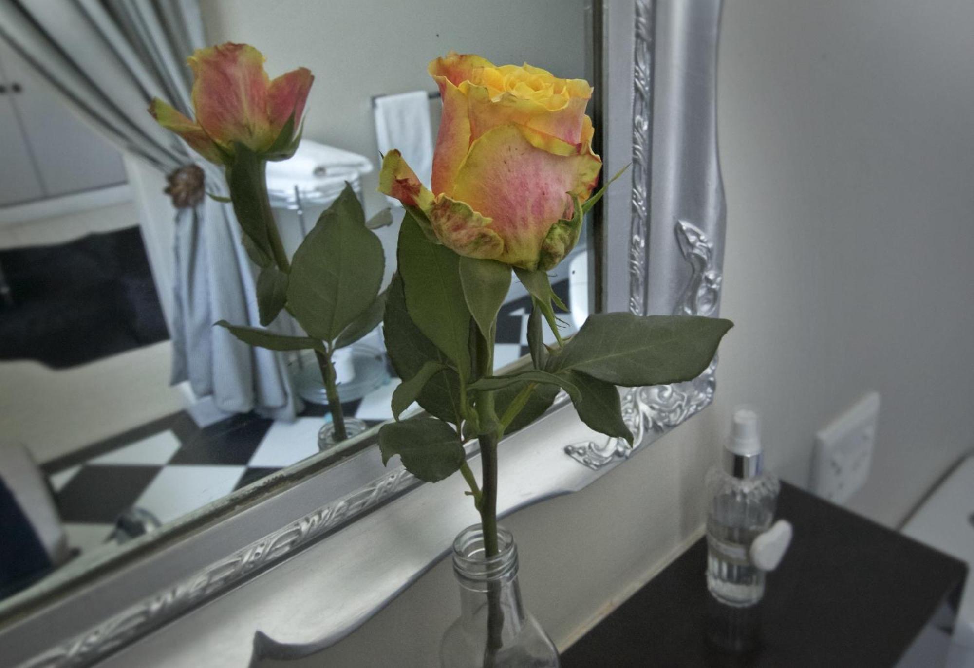 Long Street Boutique Hotel Cape Town Bilik gambar